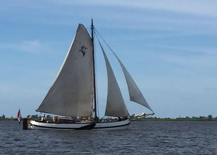 tjalkjacht pelikaan enkhuizen